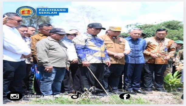 Menteri Pertanian Amran didampingi Oleh Sekda Banyuasin Erwin Ibrahim Saat Panenan Padi IP 100 di Desa Merah Mata. Foto : Nto