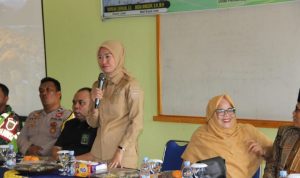 Widia Ningsih Wakil Bupati Lahat. Foto : Ist