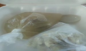 IMG_20251027_110110_copy_600x350