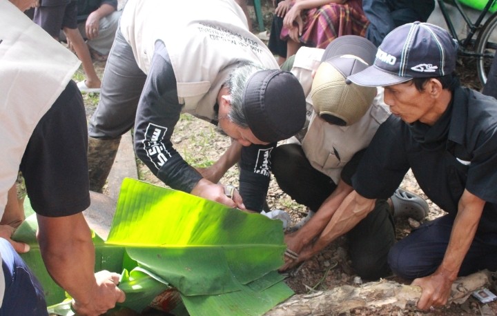 Ustadz Suhaimi Sholihin juru jagal kurban saat melakukan kegiatannya dengan seekor sapi di bantu panitia lainnya. Foto : Nto