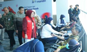 file (15)