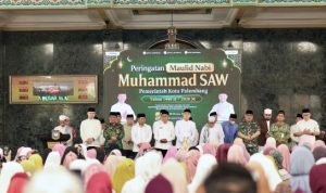 file (17)